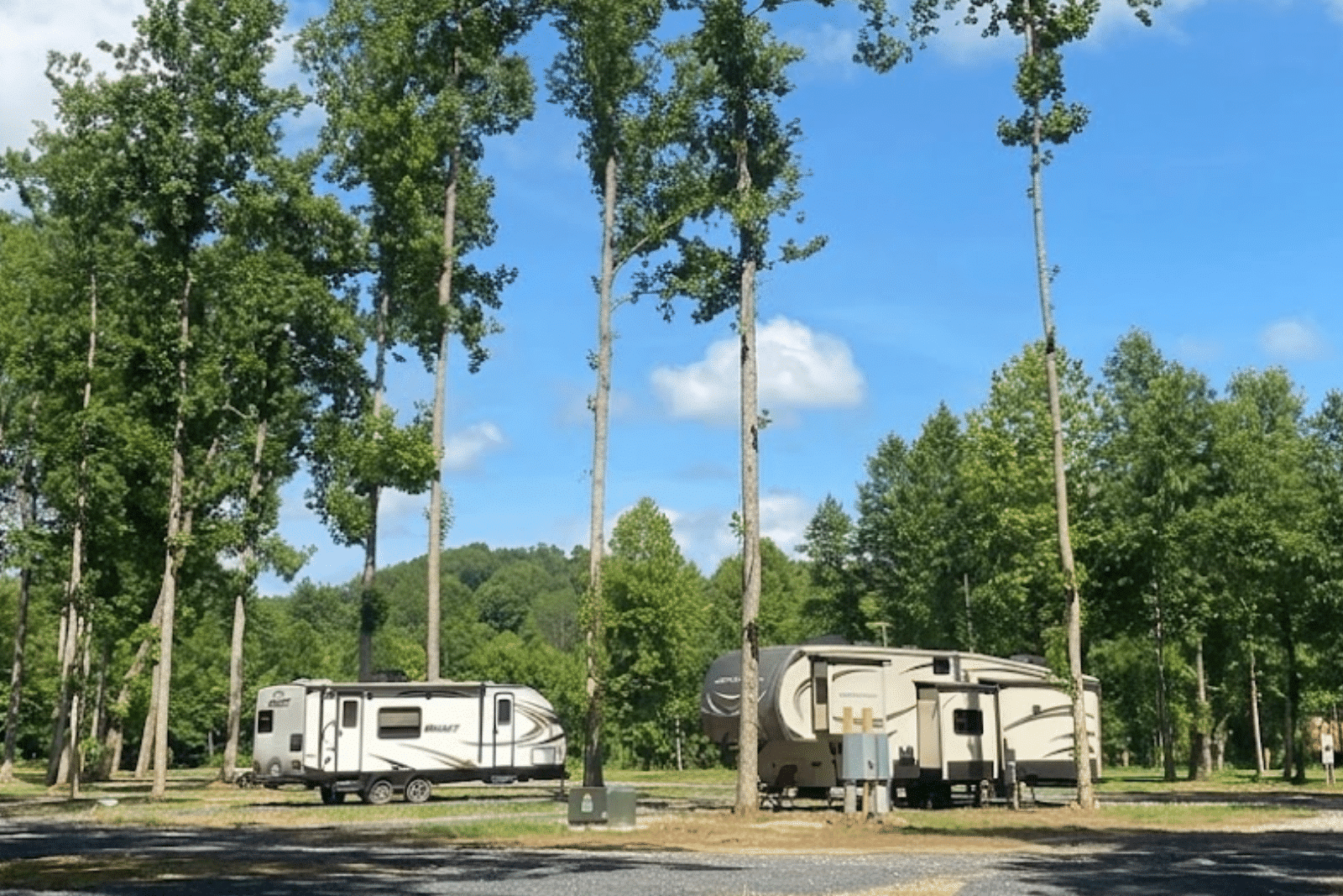 RV campsite beneath mature trees at 411 River Rest Campground