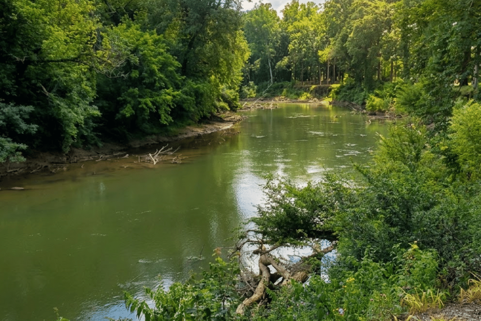 Coosawattee River beside 411 River Rest Campground