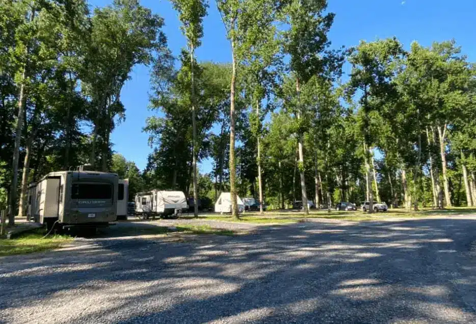 Campground grounds at 411 River Rest Campground