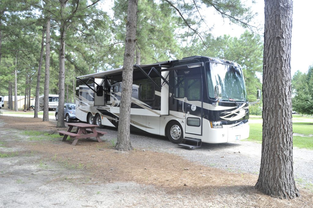 Large RV sites surrounded by pine trees at Beaver Run RV Park