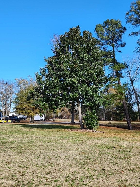 Disc golf course at Americus KOA Journey