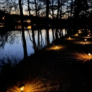 Lakeside walking path shown in the Cabins to Castles lakefront cabin gallery
