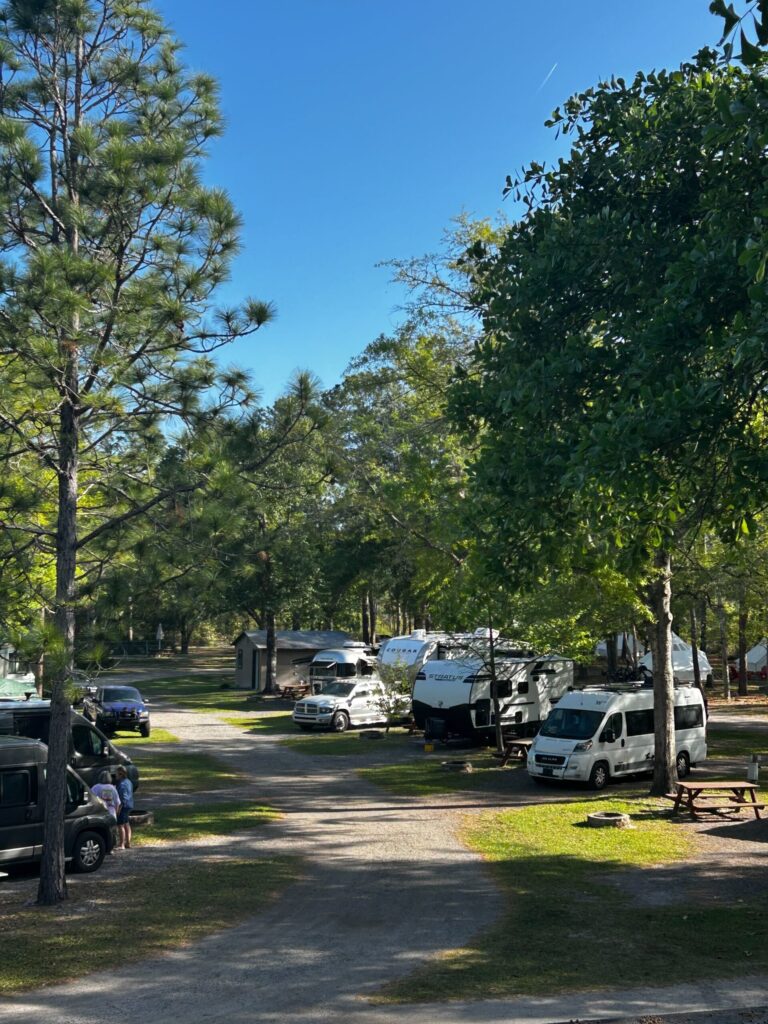 Wooded campground setting at Okefenokee Pastimes Cabins & Campground in Folkston, Georgia