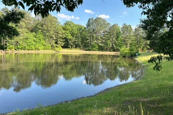 Fishing pond at Jellystone Park Cochran