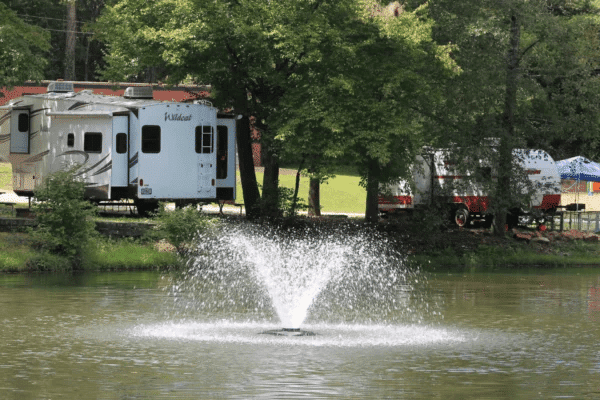 Campground setting at Jenny's Creek