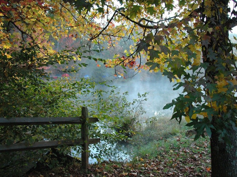 Autumn fishing pond at Jenny's Creek
