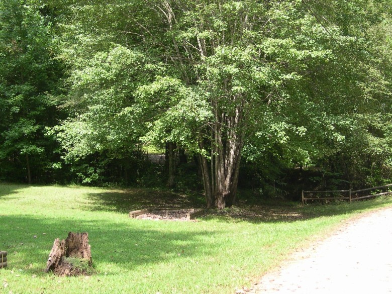 Horseshoe area at Jenny's Creek