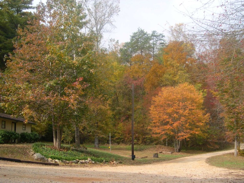 Additional campground photograph from Jenny's Creek