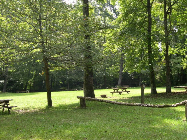 Meadow tent sites at Jenny's Creek