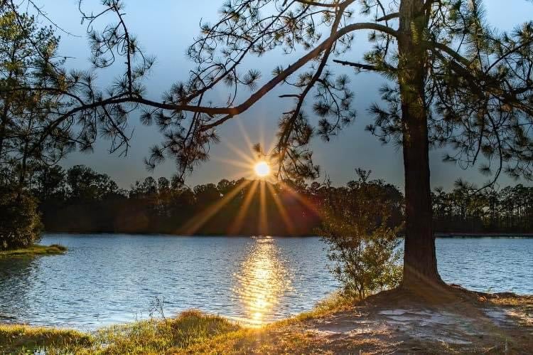 Scenic lake at Lake Harmony RV Park in Coastal Georgia