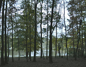 Walking trail at Leisure Acres RV Resort