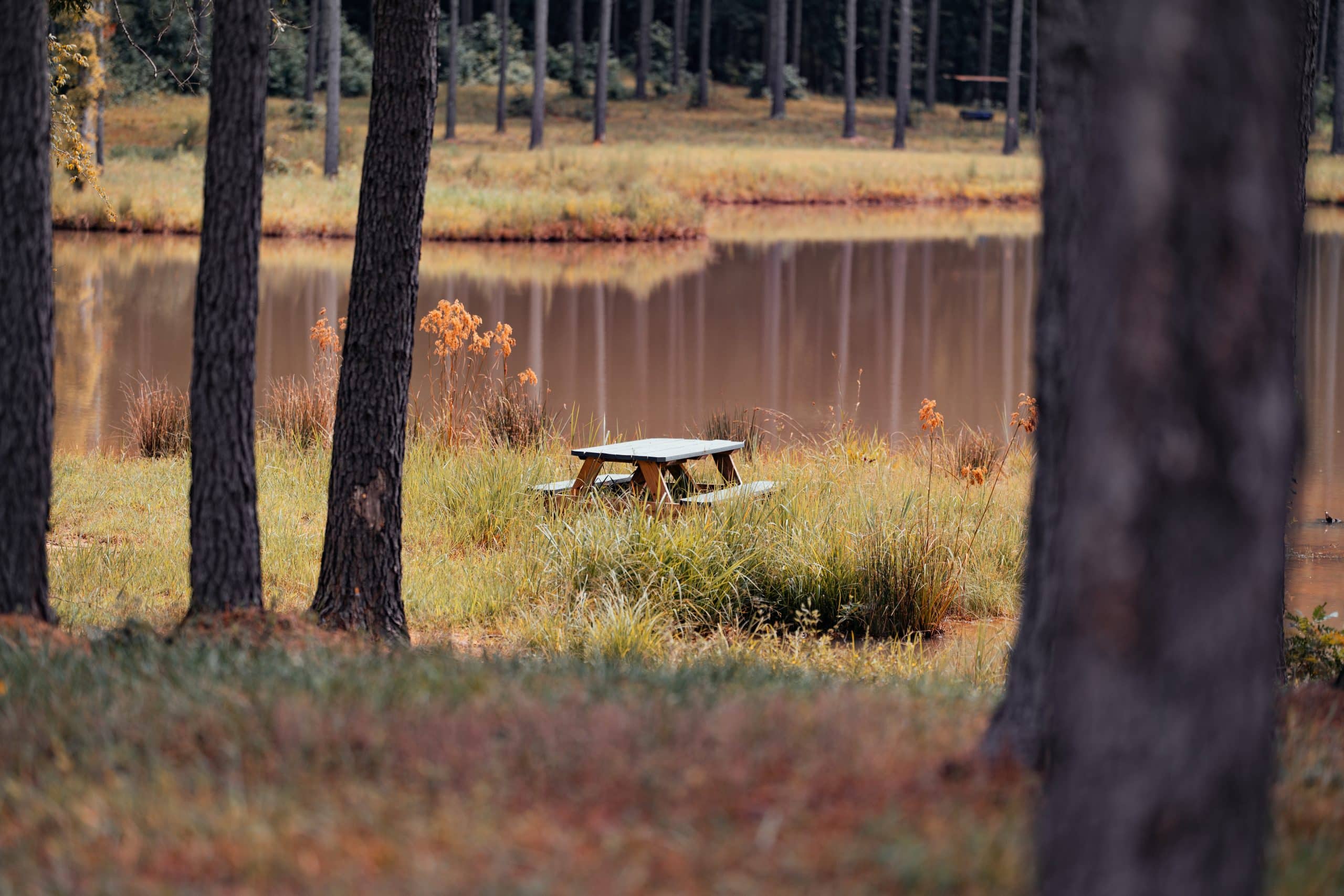 Picnic area beside a fishing pond at Little River RV Park at Durhamtown