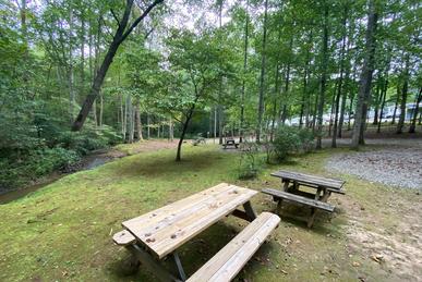 Primitive tent sites at Long Ridge Campground