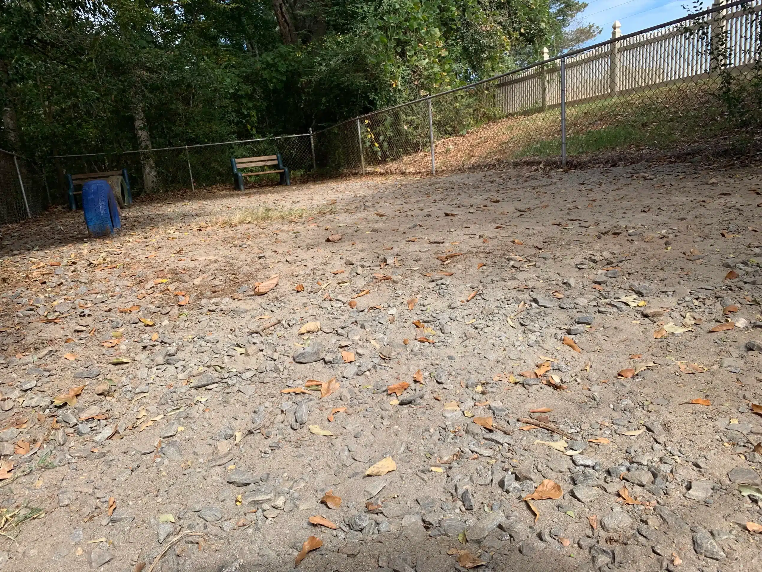 Dog park