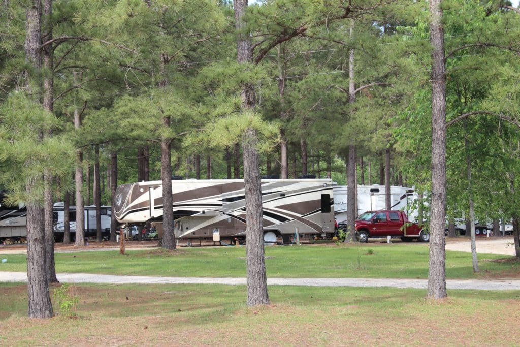 Large RV sites beneath pine trees at Beaver Run RV Park