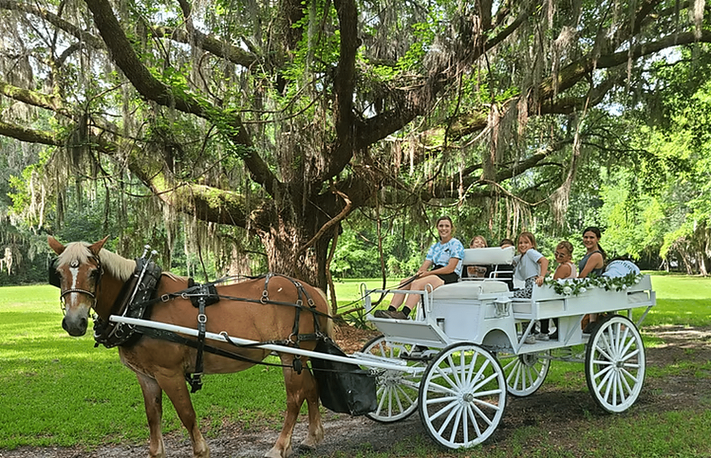 Horse-drawn carriage at Red Gate Farms