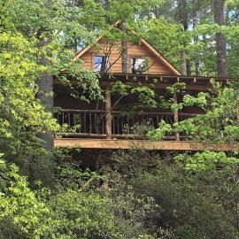 Rustic cabin surrounded by trees at River Falls at the Gorge