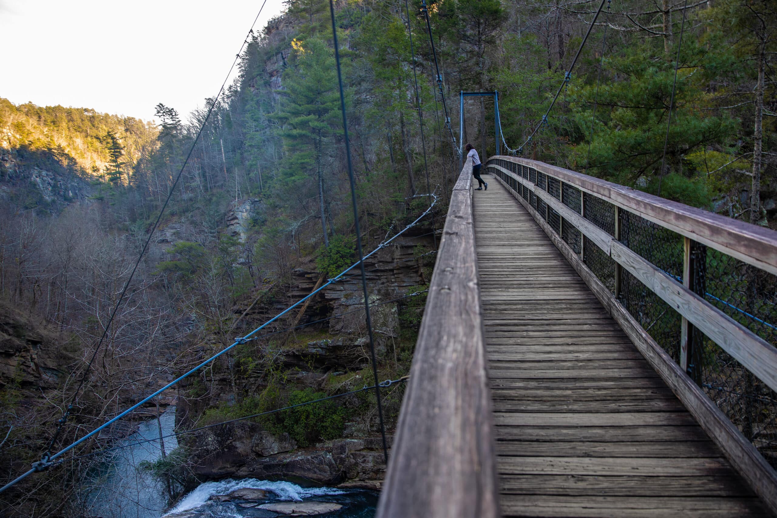 Suspension bridge at Tallulah Gorge State Park near River Falls at the Gorge