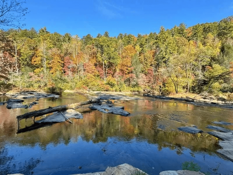 Tallulah River bordered by autumn trees at River Falls at the Gorge