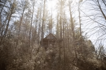 Treehouse accommodation at River Falls at the Gorge