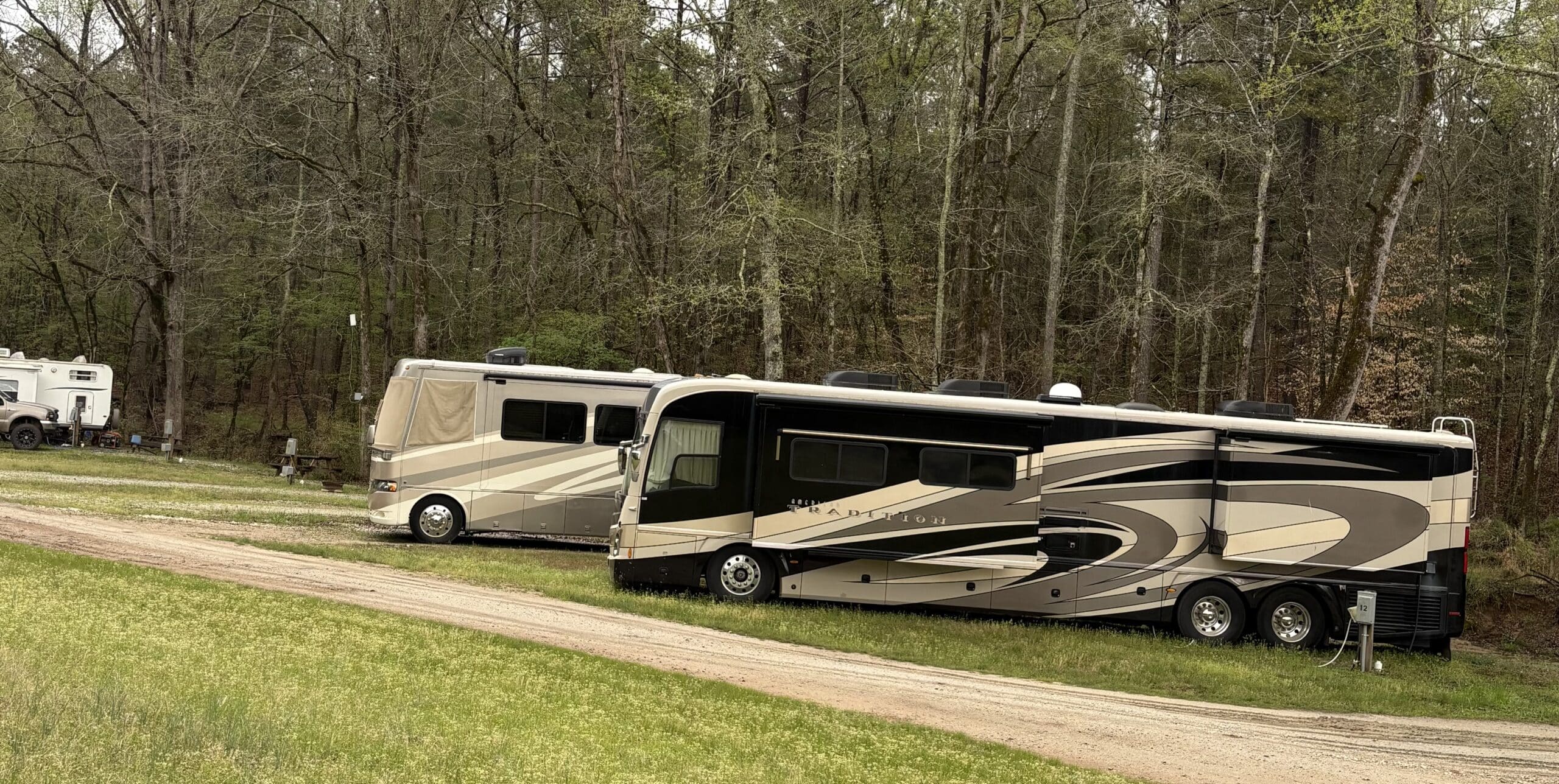 RV sites beneath the trees at Skull Shoals Park & Campground
