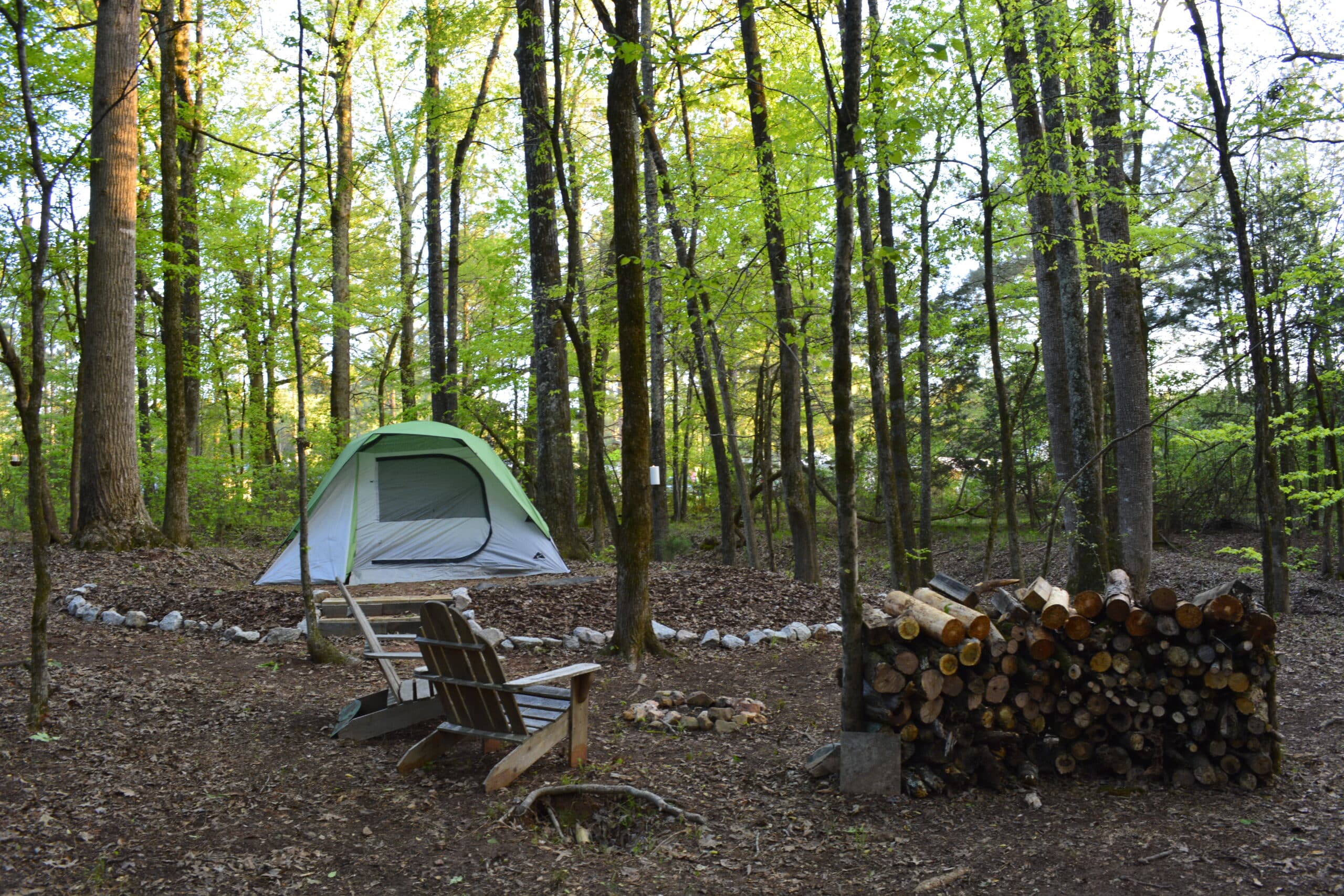 RV camping at Skull Shoals Park & Campground