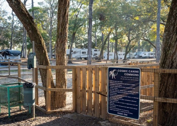 RV camping beneath oak trees at Spacious Skies Savannah Oaks