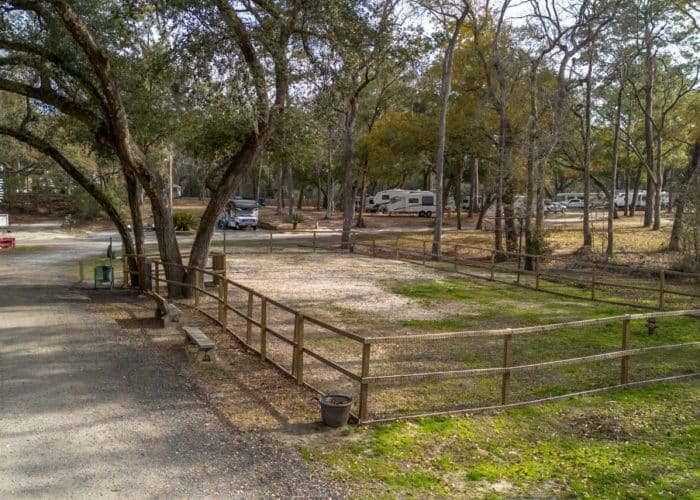 Wooded campsites at Spacious Skies Savannah Oaks