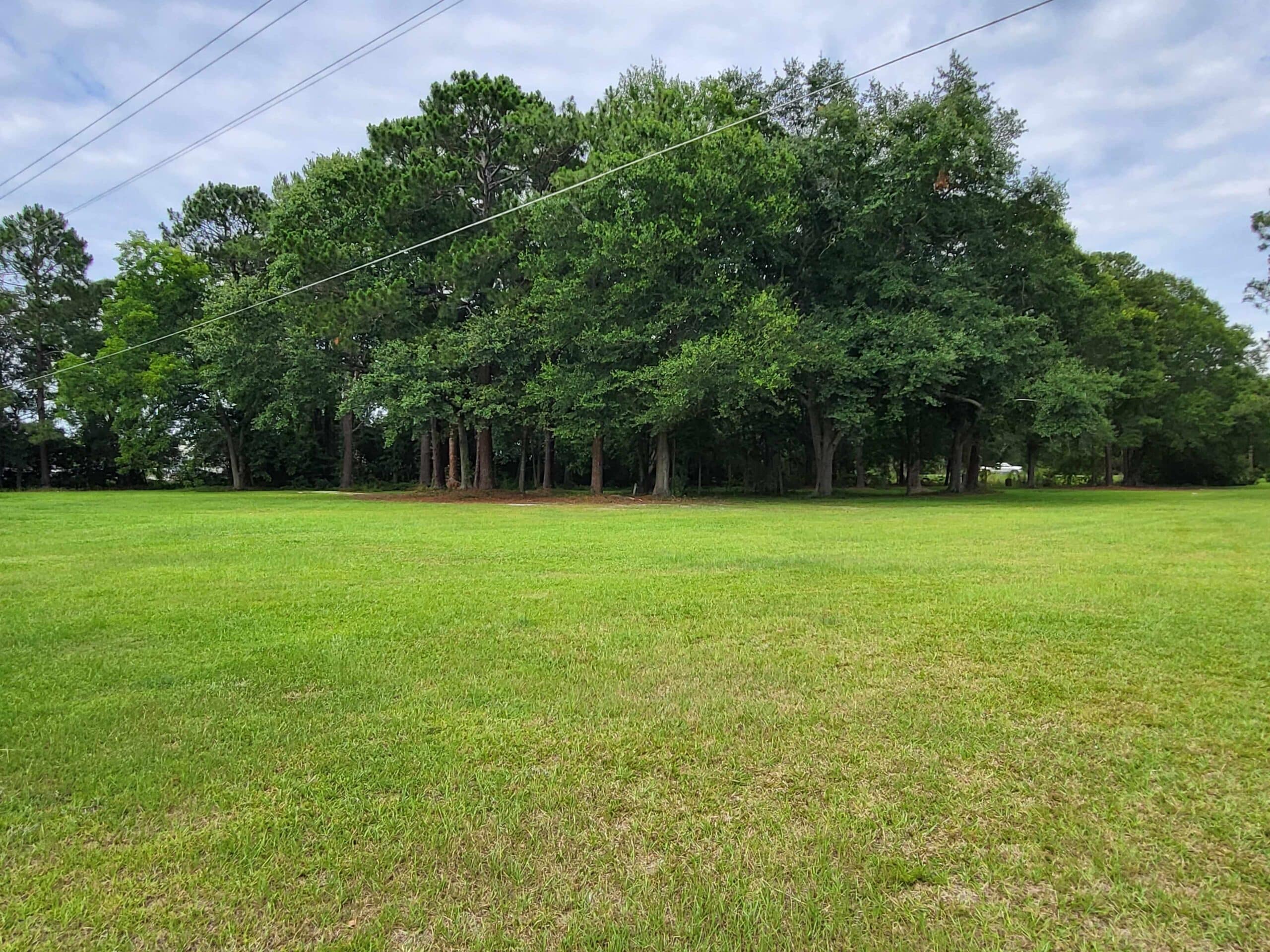 Wooded campground grounds at The Trolley Stop RV Park