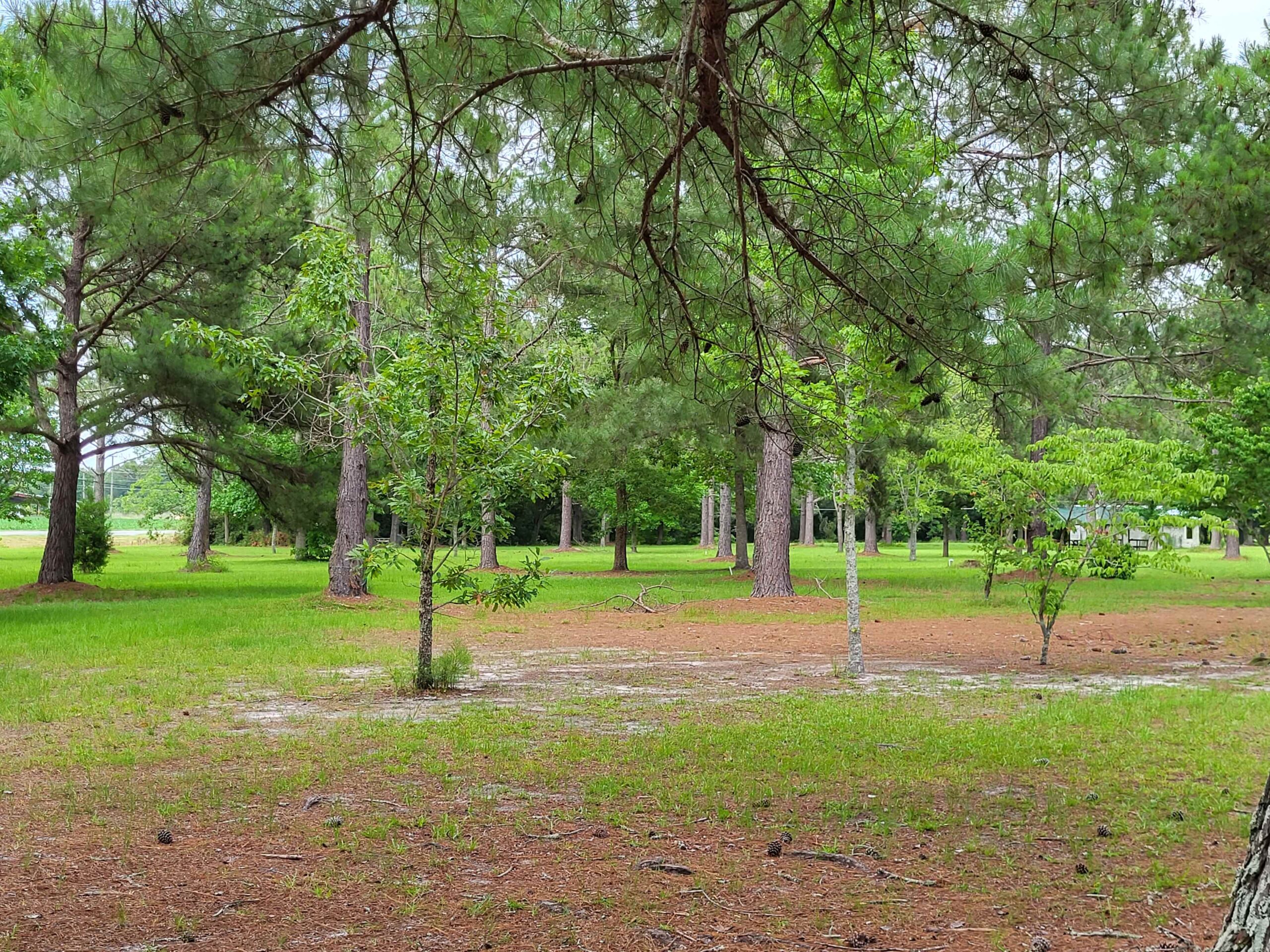 Wooded grounds at The Trolley Stop RV Park
