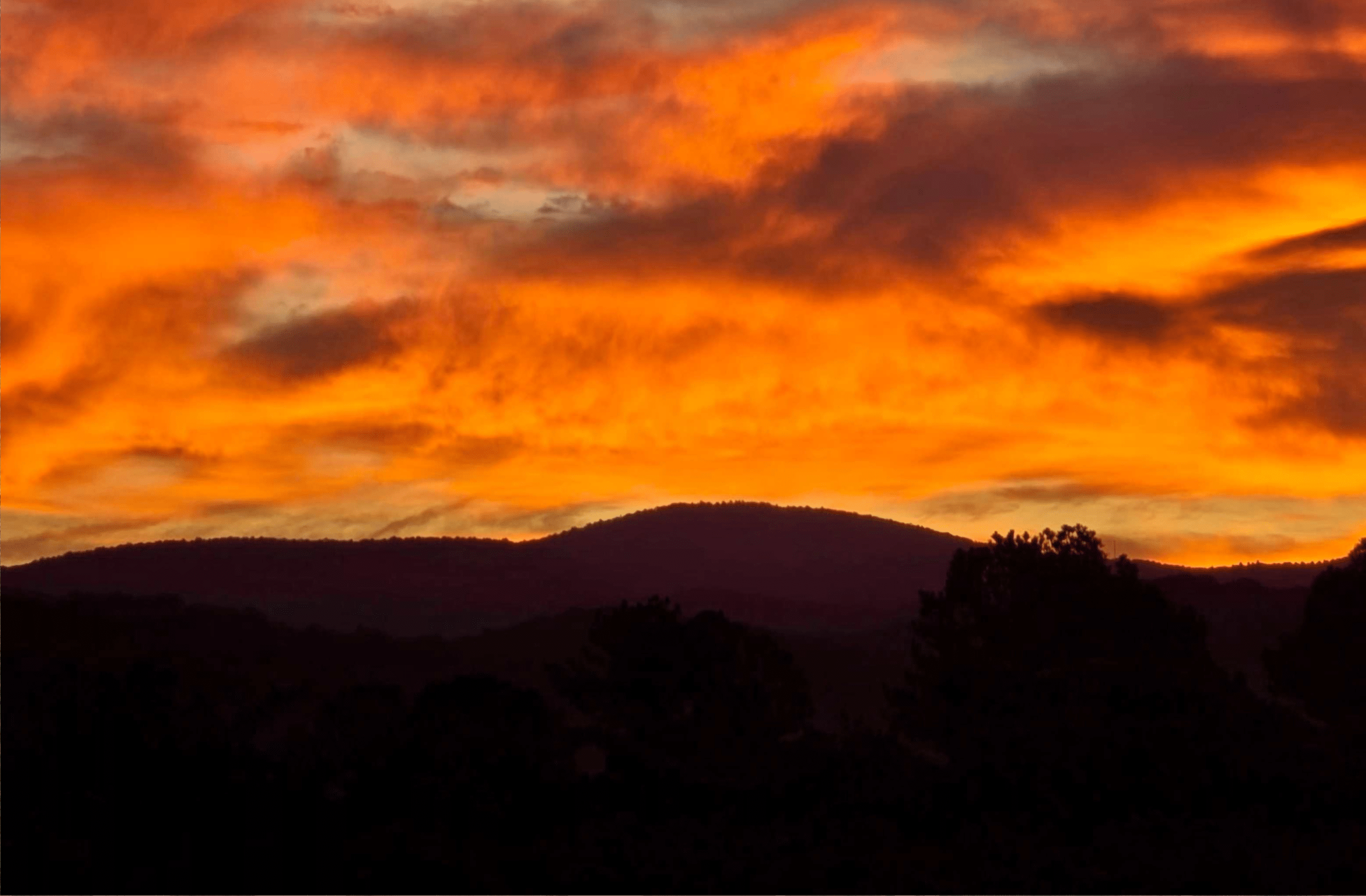 Fourth resort photograph from Talking Rock Motorcoach RV Resort's homepage gallery