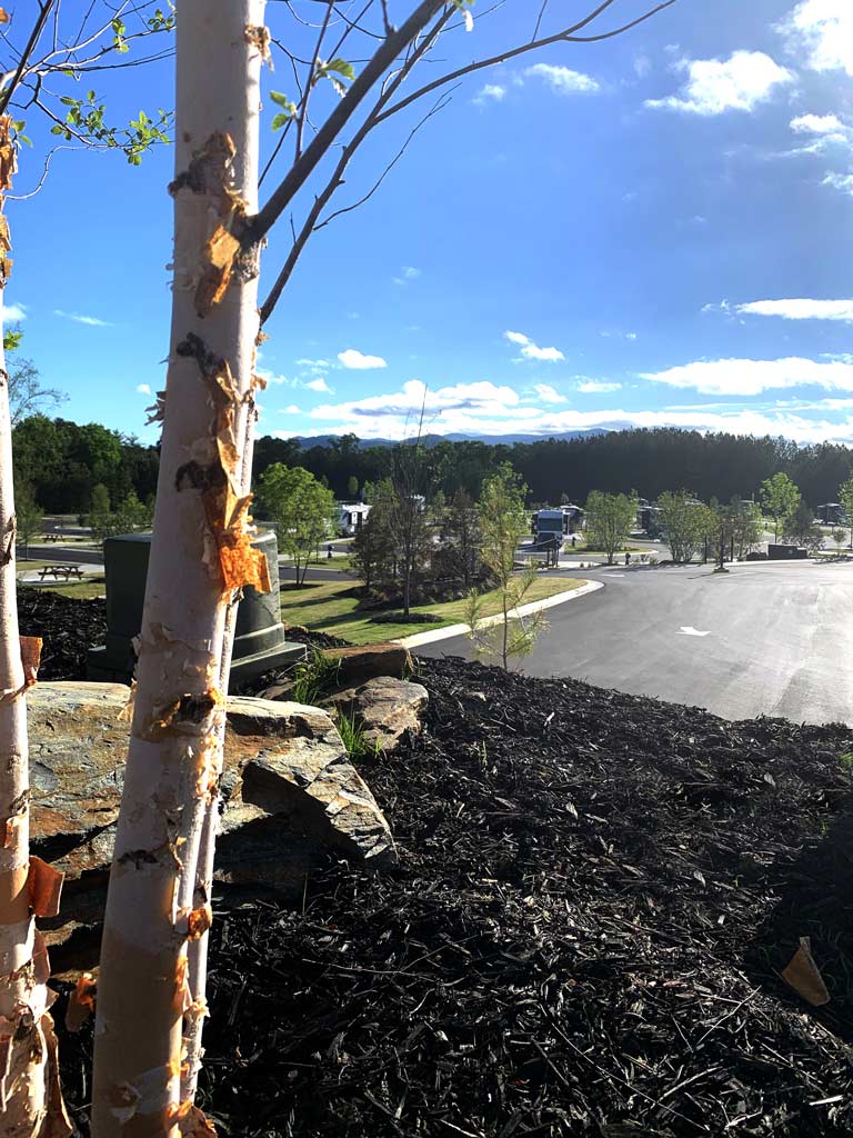 Hawk Valley overlook at Talona Ridge RV Resort