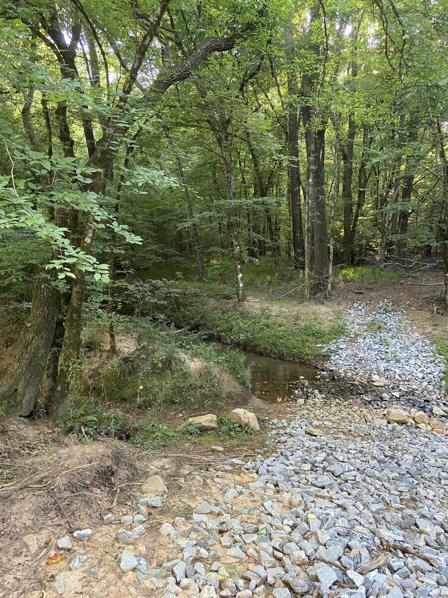 Primitive Tent Site 1 at Ted & Tracy's RV Campground