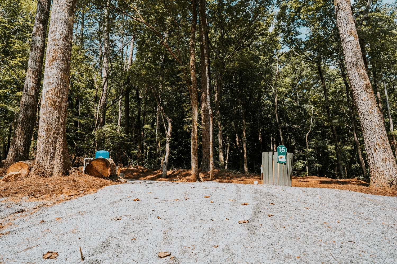 Another view of the camping area at Ted & Tracy's RV Campground
