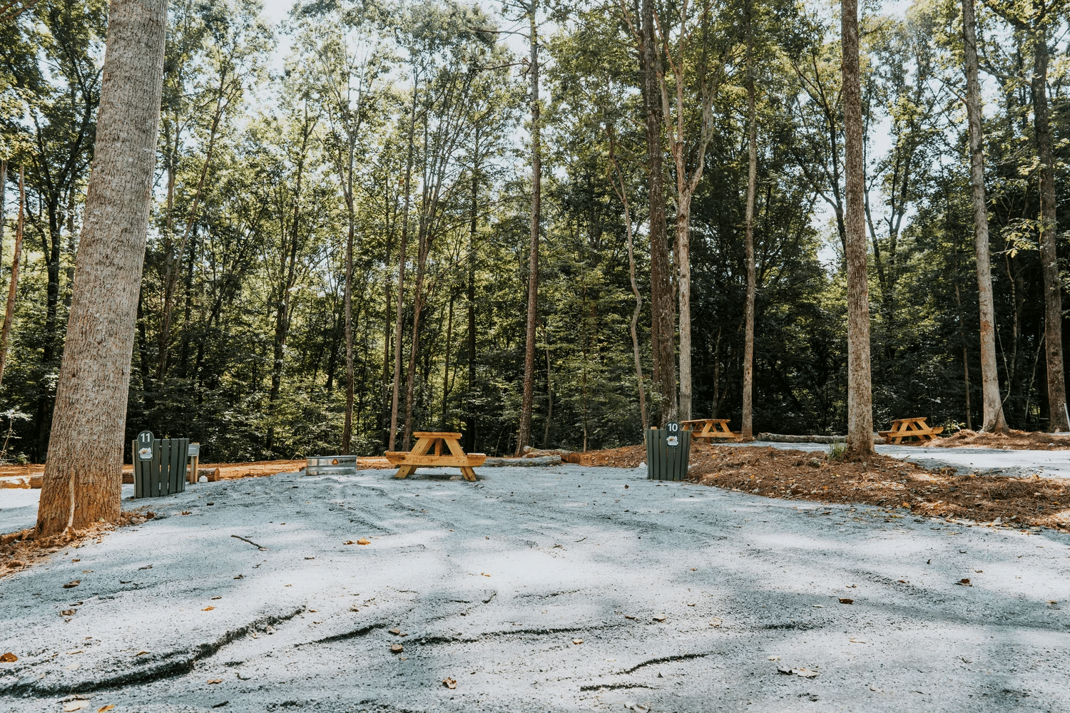 RV campsite in the wooded grounds of Ted & Tracy's RV Campground