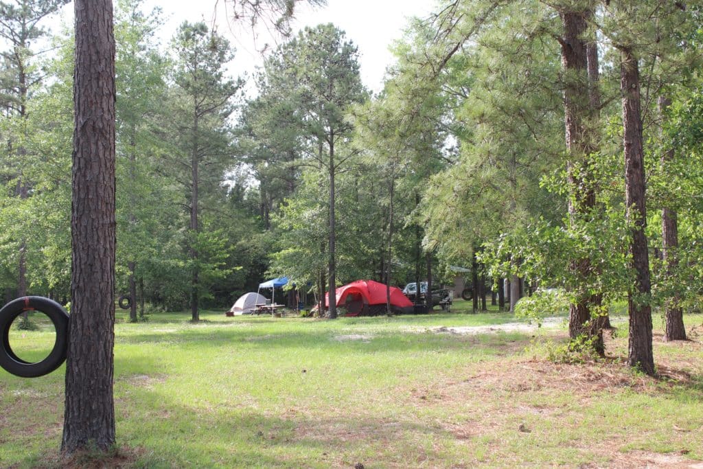 Tent camping among the pine trees at Beaver Run RV Park
