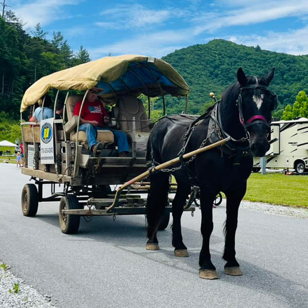 Additional property photograph from Willow Valley RV Resort's gallery
